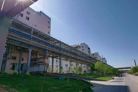 揚(yáng)農(nóng)寧夏瑞泰科技有限公司